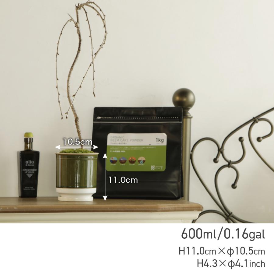 和モダン 日本製 植木鉢 受け皿付 10.5x11.5cm 3.5号 4号 盆栽 波佐見焼 鉢カバー 室内 おしゃれ 陶器 Leaf88 爆買 |  | 04