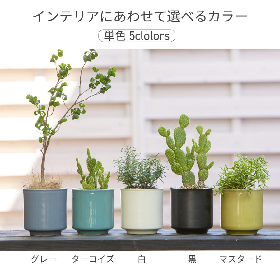 日本製 植木鉢 受け皿付 10.5x11.5cm 3.5号 4号 波佐見焼 鉢 日本製 植木鉢 受け皿付 10.5x11.5cm 3.5号 4号 波佐見焼 鉢