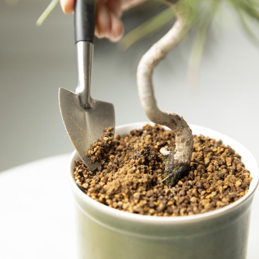 【最短当日発送】 和モダン 日本製 植木鉢 受け皿付 10.5x11.5cm 3.5号 4号 盆栽 波佐見焼 鉢カバー 室内 おしゃれ 陶器 Leaf88 爆買 |  | 08