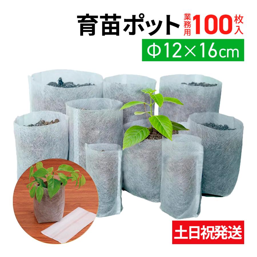 100枚 12x16cm 育苗ポット 育苗袋 4号鉢 地中用 分解性 育苗バッグ 不織布ポット 白 根腐れ 防止 業務用 プロ仕様 布鉢 プレゼント Ikb 100 普段使いの雑貨店 Step One 通販 Yahoo ショッピング
