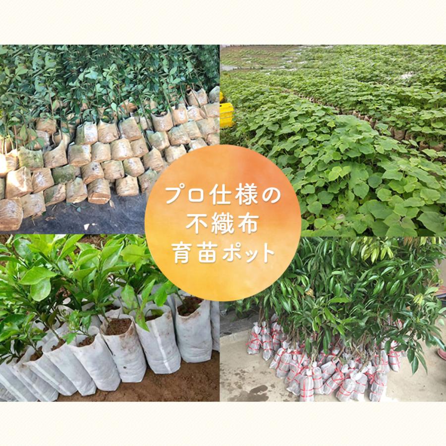 枚 12x16cm 育苗ポット 育苗袋 4号鉢 地中用 分解性 育苗バッグ 不織布ポット 白 根腐れ 防止 業務用 プロ仕様 布鉢 Ikb 普段使いの雑貨店 Step One 通販 Yahoo ショッピング