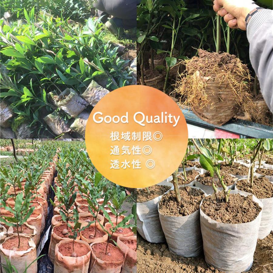 100枚 x24 育苗ポット 育苗袋 6 5号鉢 地中用 分解性 バッグ 不織布ポット 白 根腐れ 防止 業務用 プロ仕様 布鉢 エコ Ikb34 100 普段使いの雑貨店 Step One 通販 Yahoo ショッピング