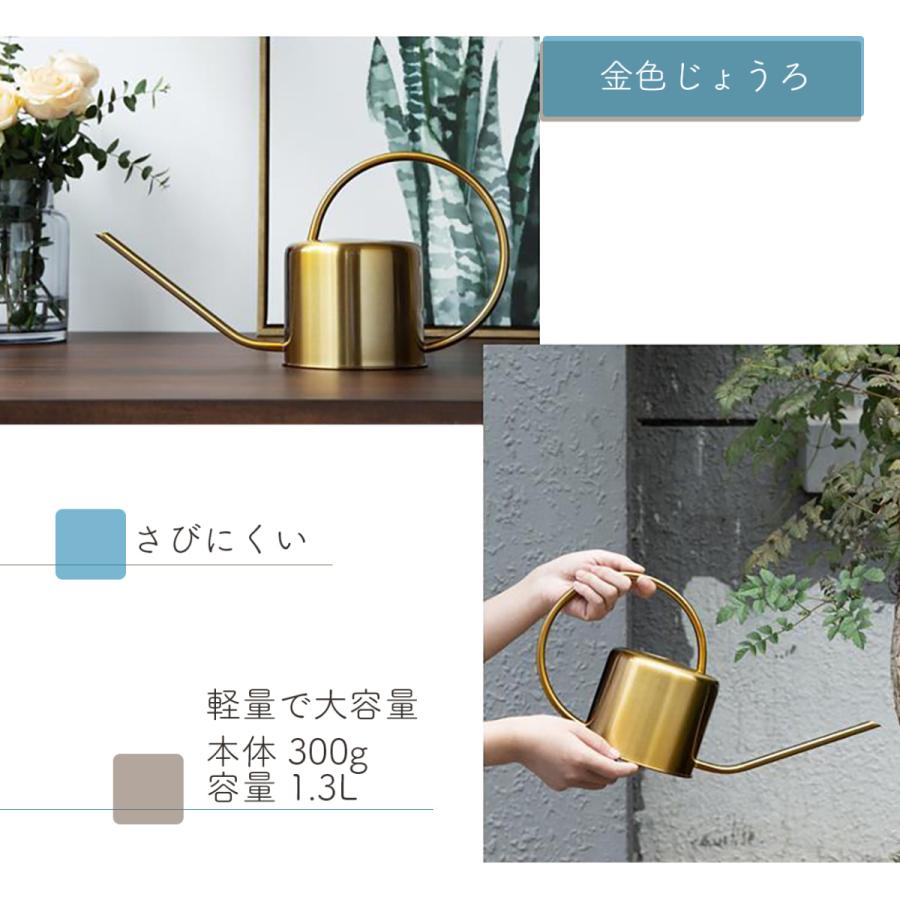 じょうろ おしゃれ 室内 観葉植物 北欧 かわいい 水差し 水やり 金属 散水 細かい 水 先 ハス口 シャワーヘッド ステンレス Jrg13 普段使いの雑貨店 Step One 通販 Yahoo ショッピング