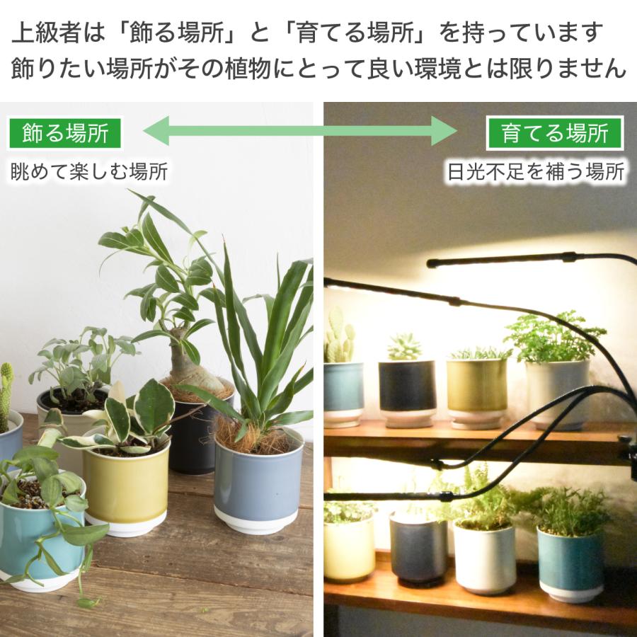 ＼2024年改良版／ 植物育成ライト LED タイマー付き クリップ 防水 取扱説明書付 観葉植物育成ライト 観葉植物ライト｜stepone｜04