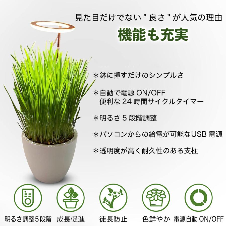 植物育成ライト タイマー led ２灯 おしゃれ 取扱説明書付 スタンド 防水 爆買 |  | 03