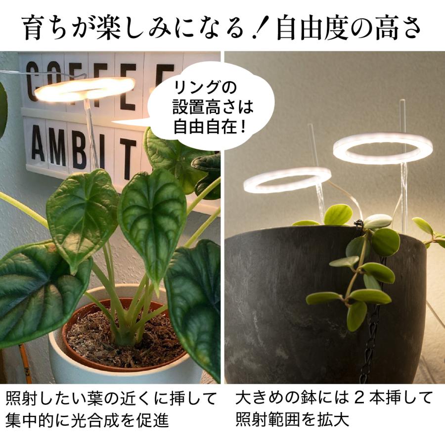 植物育成ライト タイマー led 多肉植物 観葉植物 スタンド 植物育成ライト タイマー led 多肉植物 観葉植物 スタンド