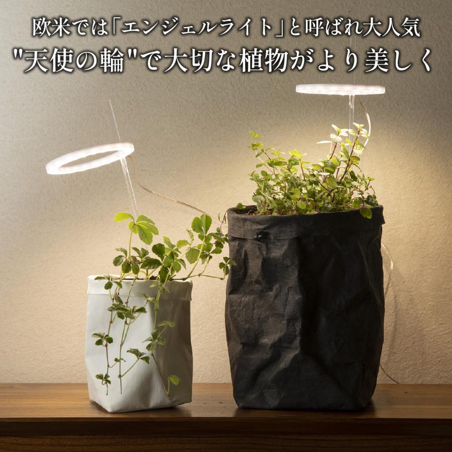 植物育成ライト タイマー led 多肉植物 観葉植物 スタンド おしゃれ 爆買 | ブランド登録なし | 06