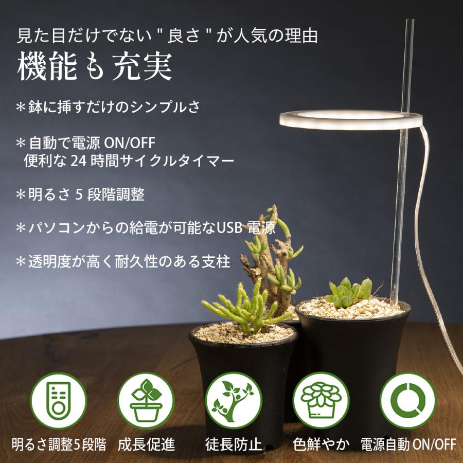 植物育成ライト タイマー led 多肉植物 観葉植物 スタンド おしゃれ 爆買 | ブランド登録なし | 07