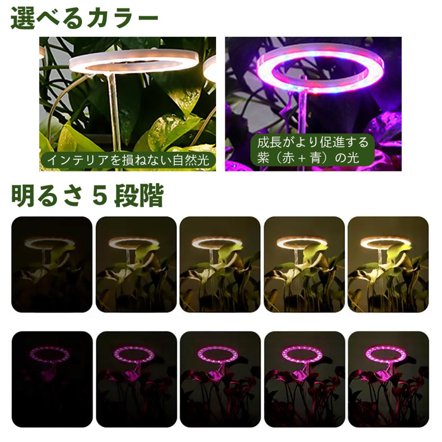 植物育成ライト タイマー led 多肉植物 観葉植物 スタンド おしゃれ 爆買 | ブランド登録なし | 09