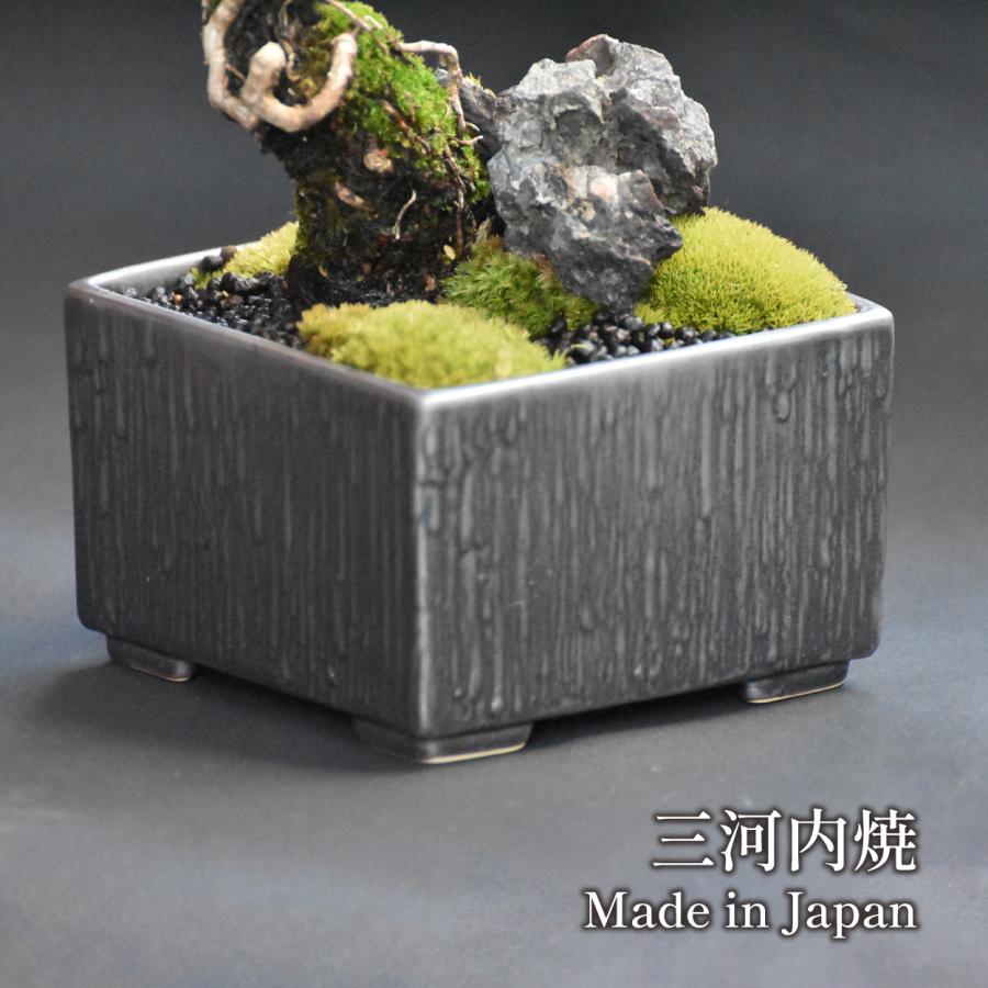 盆栽鉢 3.5号 植木鉢 和風 角鉢 磁器 陶器 陶磁器 三河内焼 盆栽鉢 3.5号 植木鉢 和風 角鉢 磁器 陶器 陶磁器 三河内焼