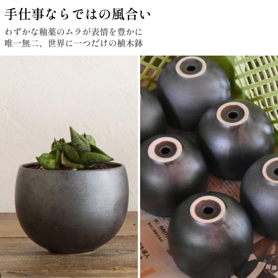 和モダン 植木鉢 3号 直径10x高さ7cm 3号 グレー 三河内焼 盆栽 和風 日本製 Leaf88 爆買 |  | 06