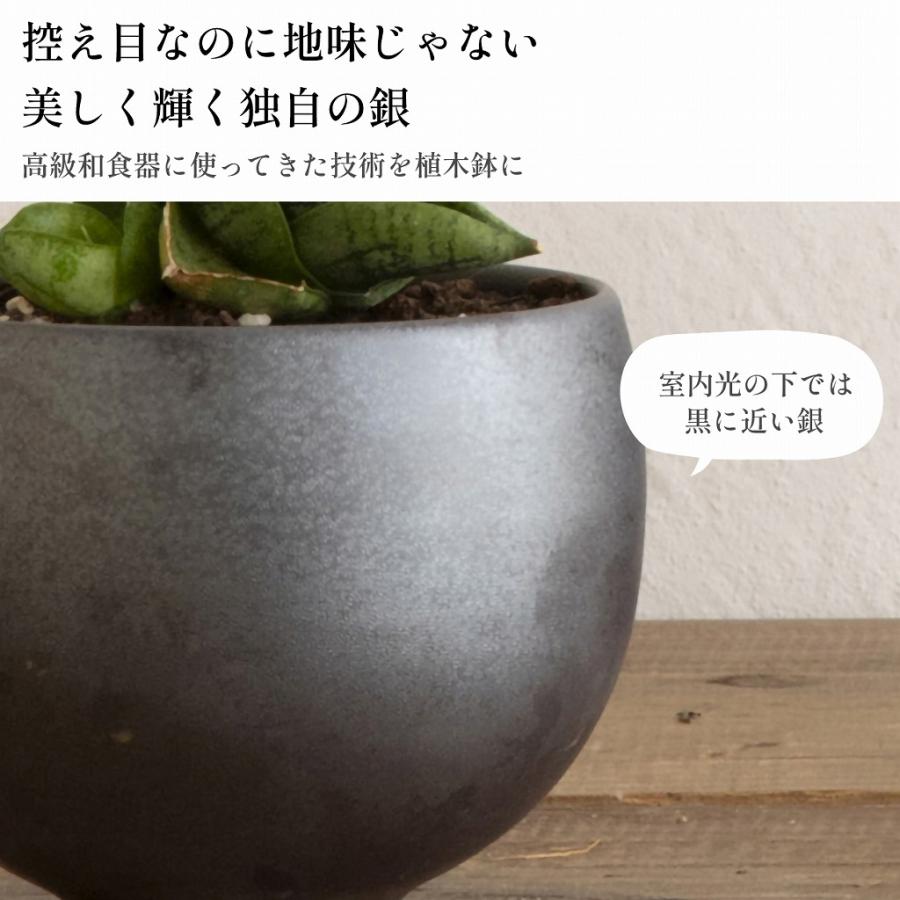 和モダン 植木鉢 3号 直径10x高さ7cm 3号 グレー 三河内焼 盆栽 和風 日本製 Leaf88 爆買 |  | 02