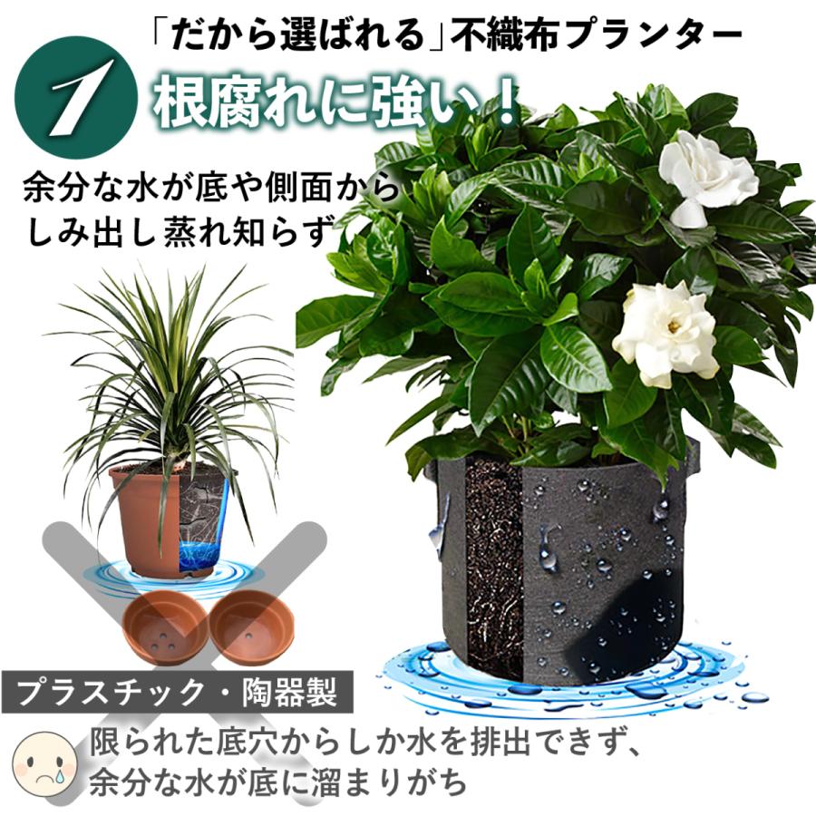 不織布ポット 2ガロン 5個 不織布プランター 6.5号鉢 20x20 植木鉢 大型 軽量 深鉢 フェルト 布鉢 家庭菜園 根域制限 :pot02:園芸用品専門店 STEP ONE - 通販 - Yahoo!ショッピング 不織布ポット 2ガロン 5個 不織布プランター 6.5号鉢 20x20 植木鉢 大型 軽量 深鉢 フェルト 布鉢 家庭菜園 根域制限 :pot02:園芸用品専門店 STEP ONE - 通販 - Yahoo!ショッピング