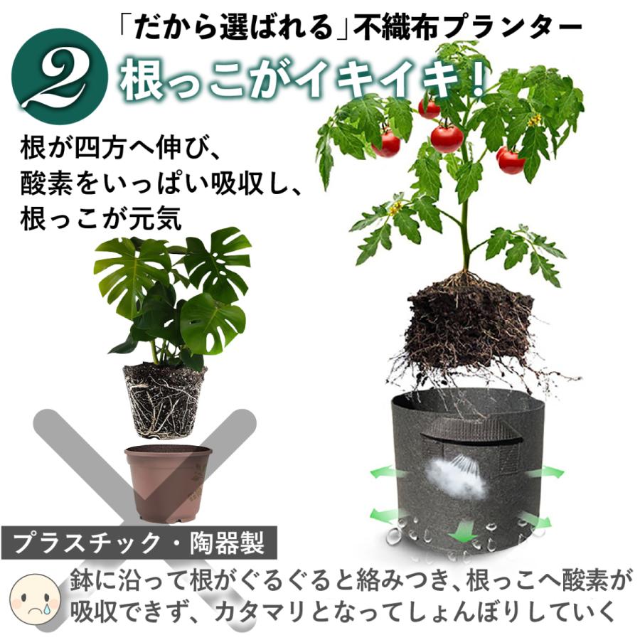 不織布ポット 2ガロン 5個 不織布プランター 6.5号鉢 20x20 植木鉢 大型 軽量 深鉢 フェルト 布鉢 家庭菜園 根域制限 :pot02:園芸用品専門店 STEP ONE - 通販 - Yahoo!ショッピング 不織布ポット 2ガロン 5個 不織布プランター 6.5号鉢 20x20 植木鉢 大型 軽量 深鉢 フェルト 布鉢 家庭菜園 根域制限 :pot02:園芸用品専門店 STEP ONE - 通販 - Yahoo!ショッピング