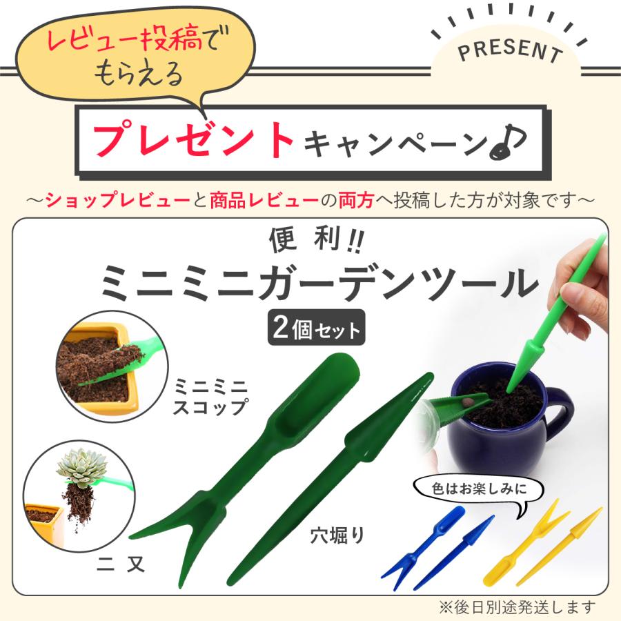 【１位】不織布プランター 3ガロン５個 25x22 不織布ポット 9号 プランター 植木鉢 軽量 深鉢 フェルト 布鉢 黒 家庭菜園｜stepone｜21