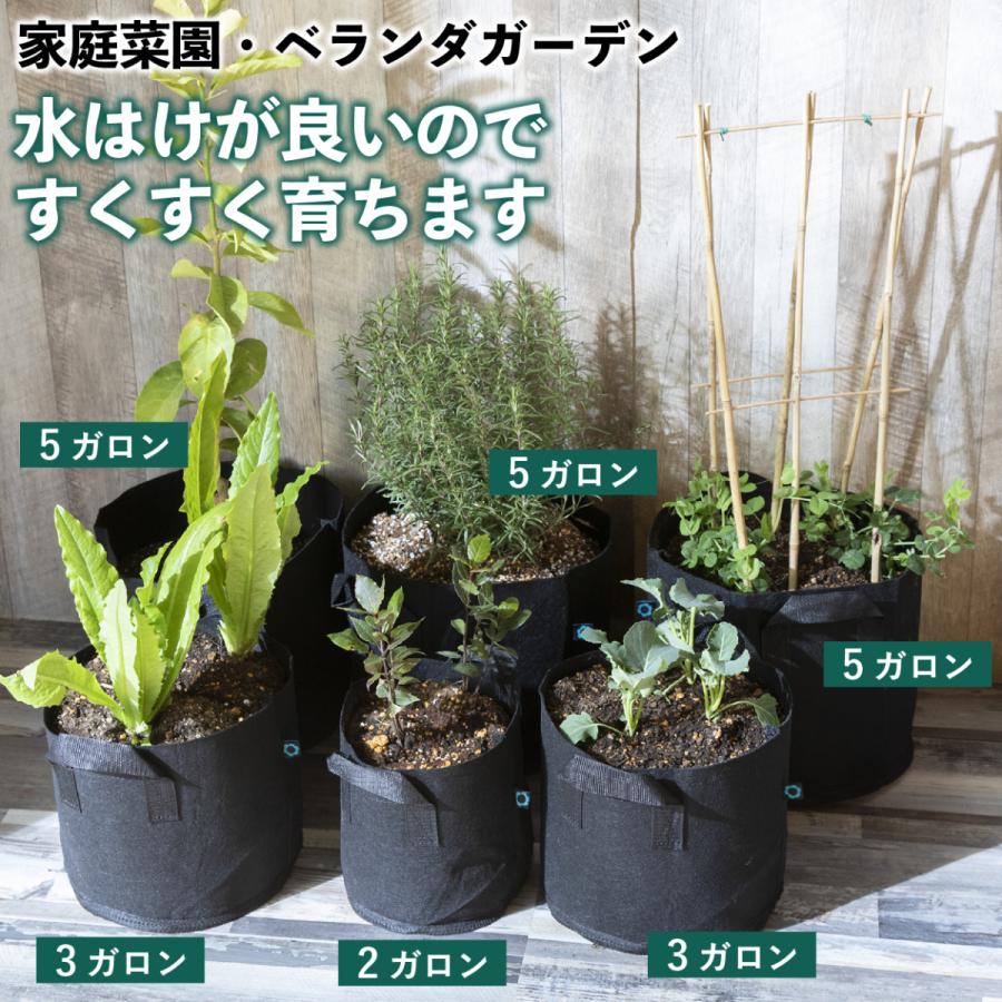 豪華 不織布ポット 5ガロン ５個 不織布プランター 10号 30x25 植木鉢 大型 軽い 軽量 深鉢 フェルト 布鉢 黒 家庭菜園 おしゃれ Aynaelda Com