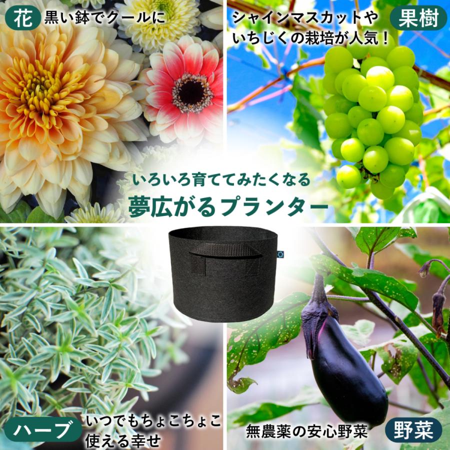 不織布ポット 7ガロン 5個 不織布プランター 12号 35x28 植木鉢 大型 不織布ポット 7ガロン 5個 不織布プランター 12号 35x28 植木鉢 大型