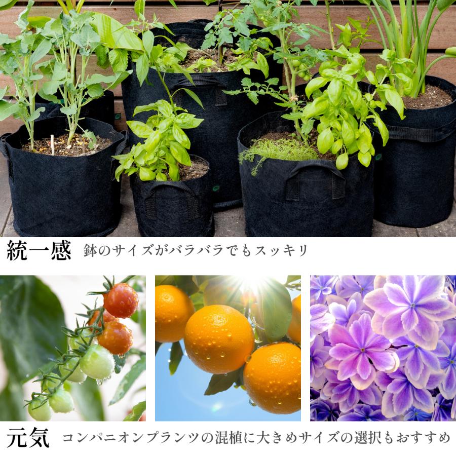 不織布プランター 10ガロン 3個 不織布ポット 14号 40x30 植木鉢 大型 軽い 軽量 深鉢 フェルト 布鉢 黒 家庭菜園 ベランダ菜園 果樹栽培 爆買 | ブランド登録なし | 11