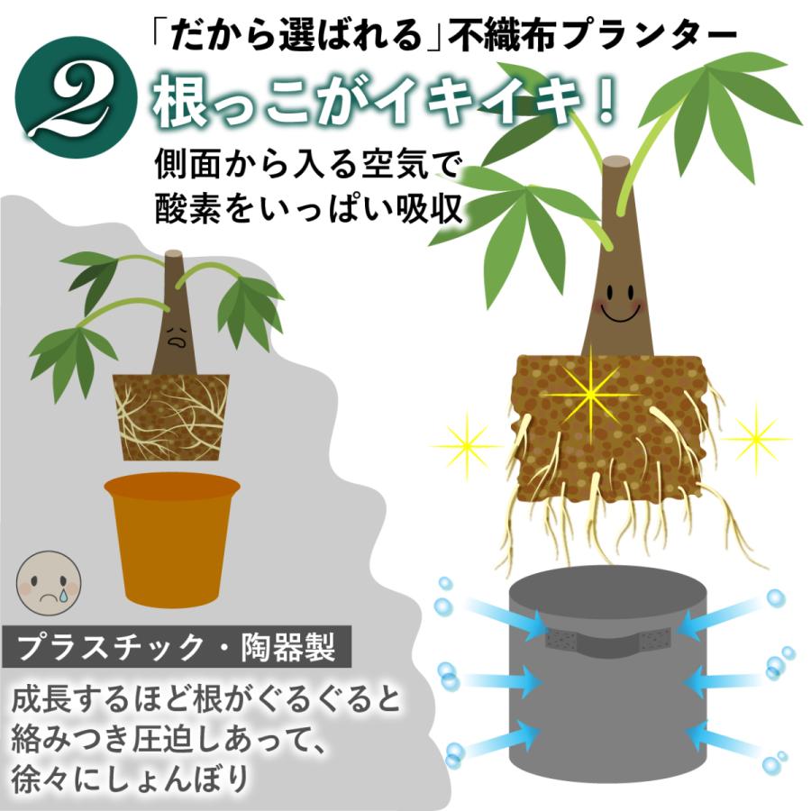 10ガロン ５個 14号 40x30 植木鉢 大型 不織布ポット 軽い 軽量 深鉢 フェルト 布鉢 黒 家庭菜園 おしゃれ 根域制限 Pot10 普段使いの雑貨店 Step One 通販 Yahoo ショッピング