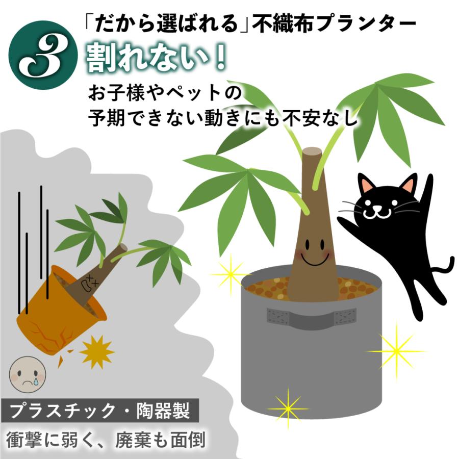 10ガロン ５個 14号 40x30 植木鉢 大型 不織布ポット 軽い 軽量 深鉢 フェルト 布鉢 黒 家庭菜園 おしゃれ 根域制限 Pot10 普段使いの雑貨店 Step One 通販 Yahoo ショッピング