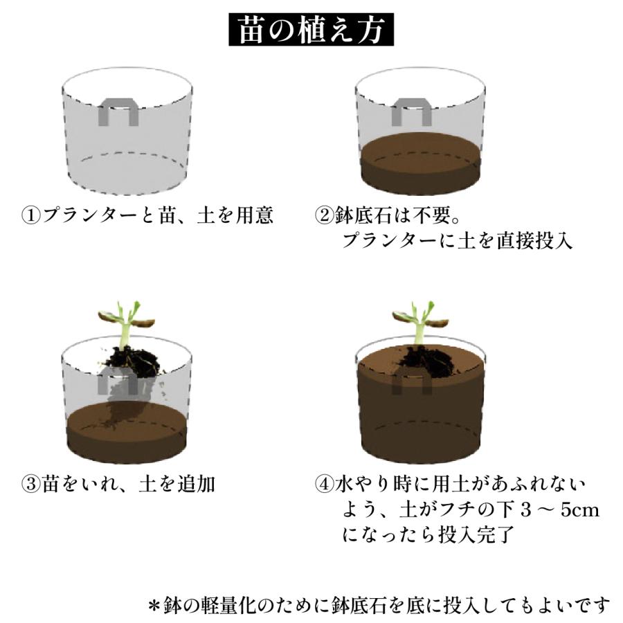 不織布プランター 5個 1ガロン 3ガロン 5ガロン 6.5ガロン 7ガロン アソート 不織布ポット プランター 植木鉢 爆買 | ブランド登録なし | 15