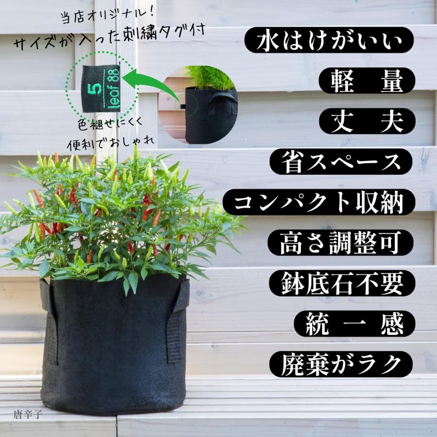不織布プランター 20ガロン 3個 50x40 18号 不織布ポット プランター 植木鉢 大型 軽量 布鉢 黒 爆買 | ブランド登録なし | 02