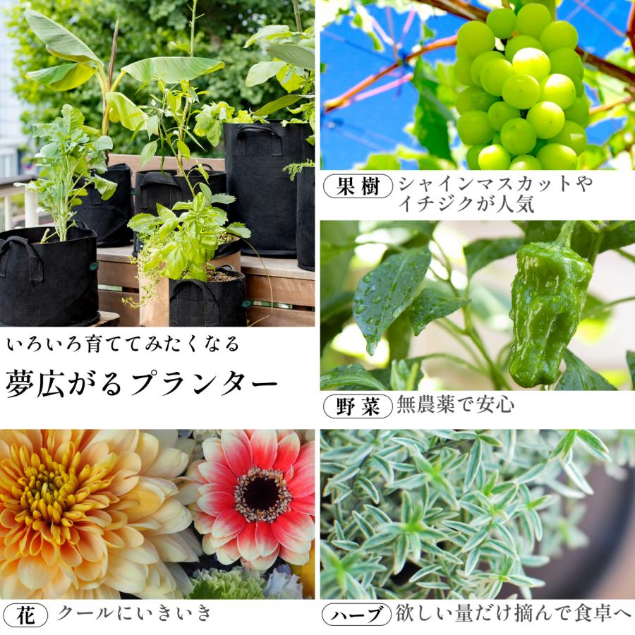 不織布プランター 20ガロン 3個 50x40 18号 不織布ポット プランター 植木鉢 大型 軽量 布鉢 黒 爆買 | ブランド登録なし | 11