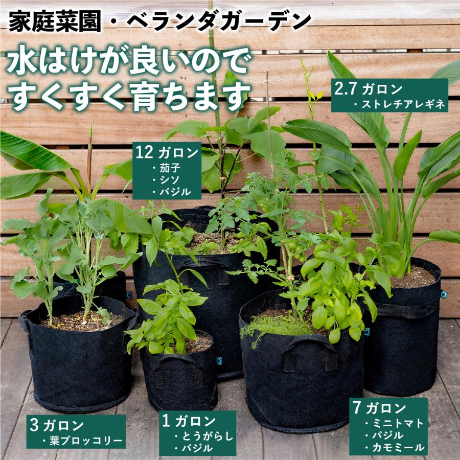 不織布ポット 34ガロン５個 不織布プランター 60x45 号 植木鉢 大型 フェルトプランター 軽い 軽量 深鉢 フェルト 布鉢 黒 Pot34 園芸用品専門店 Step One 通販 Yahoo ショッピング