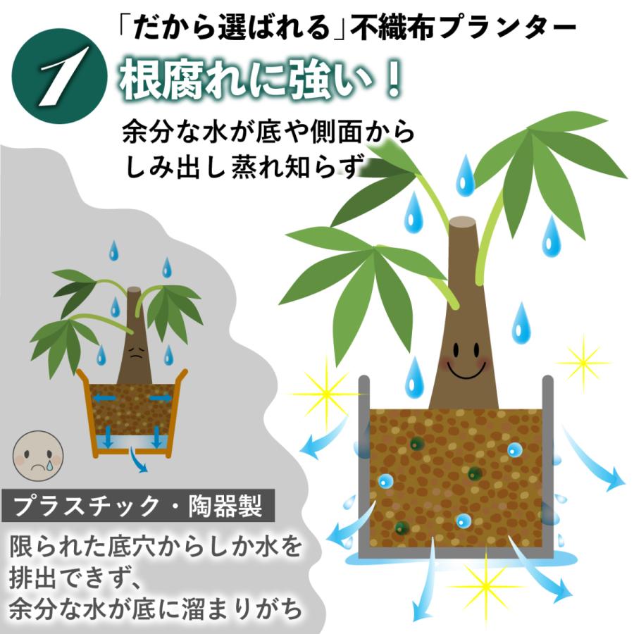 不織布プランター 不織布ポット 45ガロン 5個 不織布 プランター 70x45 植植木鉢 大型 フェルトプランター 軽い 軽量 深鉢 フェルト 布鉢 黒 家庭菜園 布鉢 :pot45:園芸用品専門店 STEP ONE - 通販 - Yahoo!ショッピング 不織布プランター 不織布ポット 45ガロン 5個 不織布 プランター 70x45 植植木鉢 大型 フェルトプランター 軽い 軽量 深鉢 フェルト 布鉢 黒 家庭菜園 布鉢 :pot45:園芸用品専門店 STEP ONE - 通販 - Yahoo!ショッピング