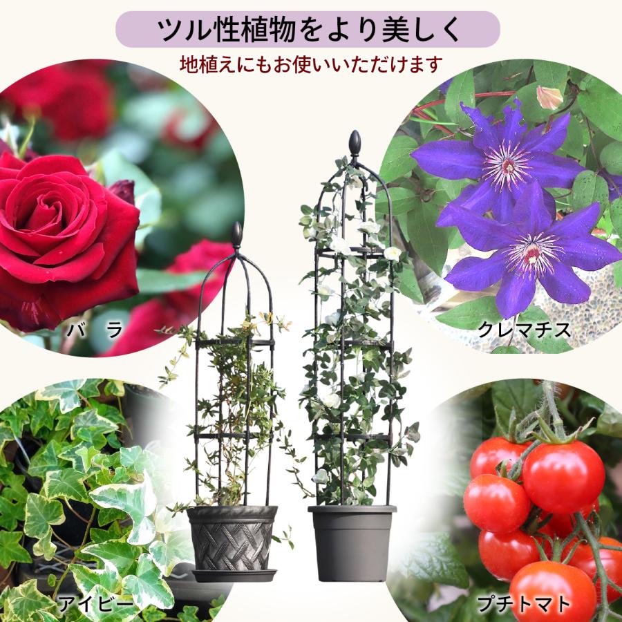 最短当日発送】 ガーデン オベリスク 180 幅25.4cm 高さ175cm