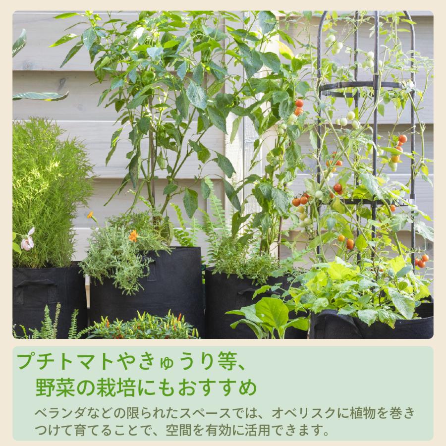 最短当日発送】 ガーデン オベリスク 180 幅25.4cm 高さ175cm