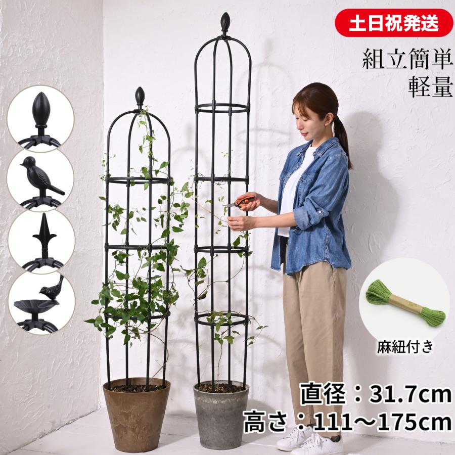 古いアイアンのオベリスク 180〜200cm程度 ガーデン オベリスク 180 幅31.7cm 高さ175cm コンパクト収納