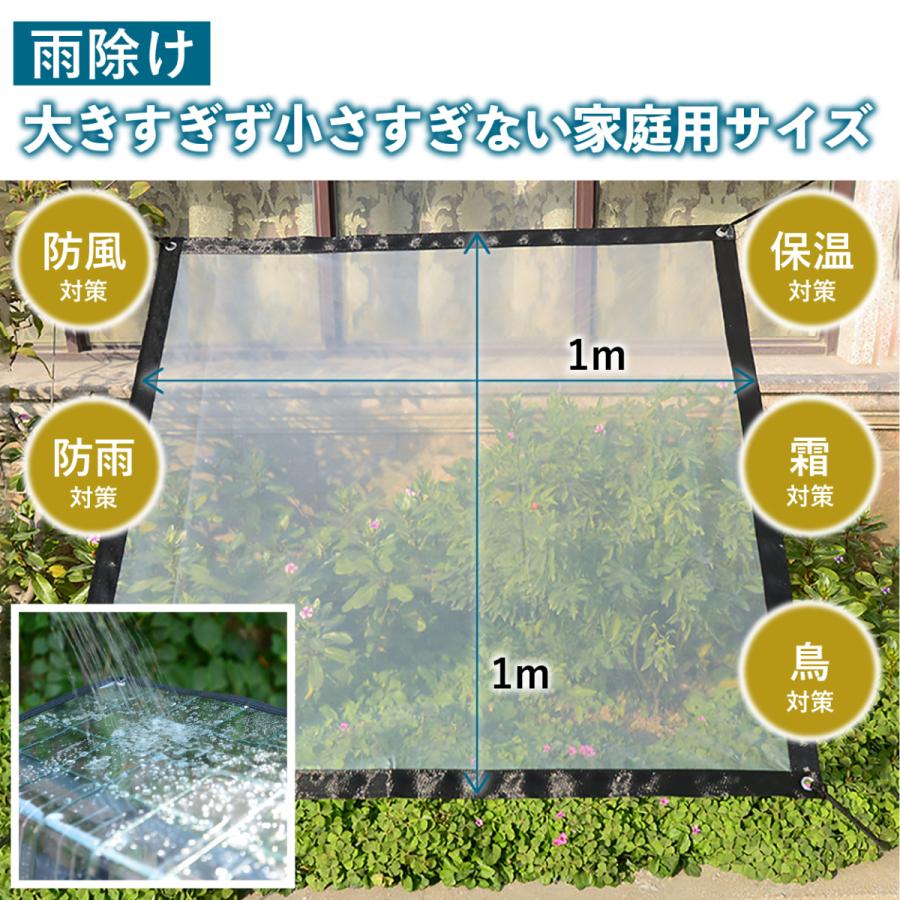 超格安一点 雨除け 遮光ネット セット 1x1m 園芸 黒 植物 多肉植物 家庭菜園 ベランダガーデン 雨よけ 雨よけシート 日除け 日差し 防風 防雨 Aynaelda Com
