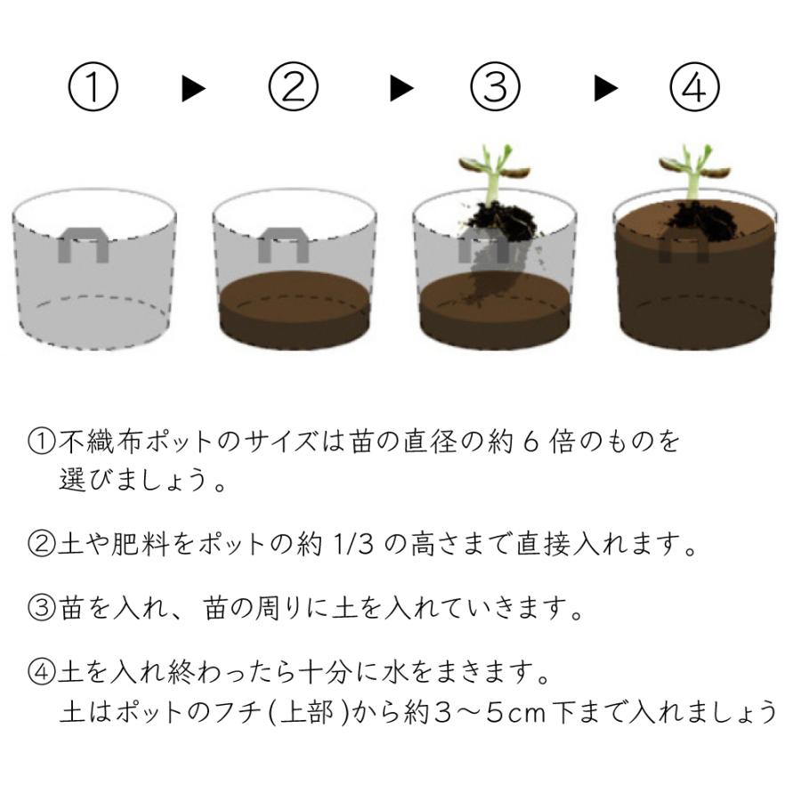 不織布 ポット 18号 3個 セット 植木 鉢 プランター 大型 おしゃれ 軽い フェルト 野菜栽培 家庭菜園 鉢 寄せ植え 布 通気 大きめ 紫蘇 ハーブ 多肉 母の日 Vpot 普段使いの雑貨店 Step One 通販 Yahoo ショッピング