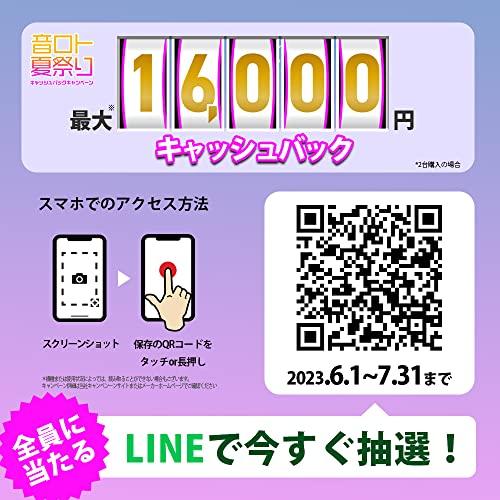 本日価格！！ ソニー ワイヤレススピーカー SRS-X300 :防水 IP67/広いリスニングエリア/ハンズフリー通話/ロングバッテリー 24時間/SRS-XE30 【2037589190】(12454円)