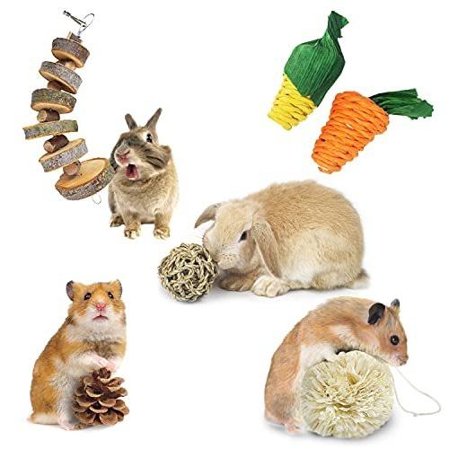 ハムスター おもちゃ うさぎ 6点セット 噛むおもちゃ ボール モルモット チンチラ リス ペット用 ストレス解消 丈夫 耐久性 清潔 歯磨き Wkah3lxji8 家具 インテリア Panamericanschool Pa Net
