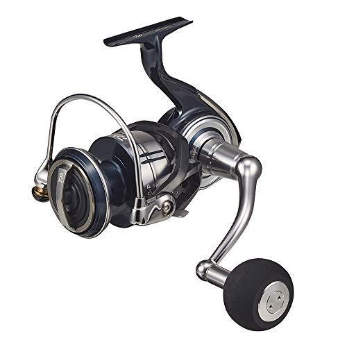 驚きの安さ ダイワ Daiwa 21 セルテートsw 8000 P 半額品 Mediquicklab Com
