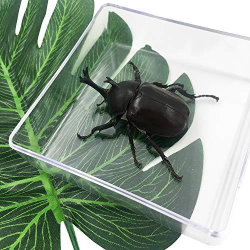 Yahoo ショッピング Paypayポイントがもらえる ネット通販