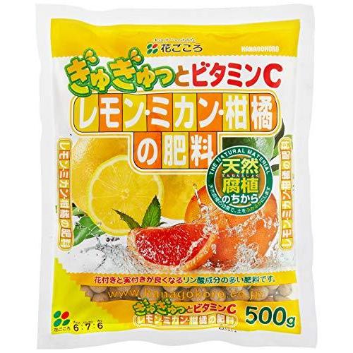花ごころ レモン ミカン 柑橘の肥料 500g S ステップ ワン マーケット 通販 Yahoo ショッピング