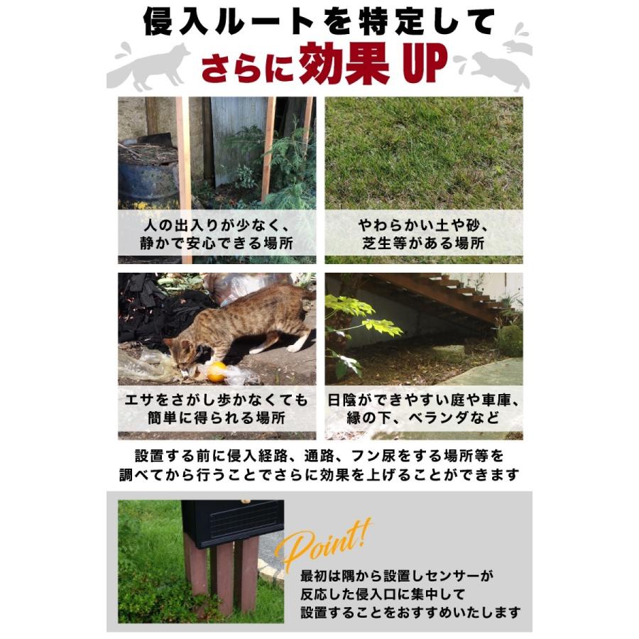 猫よけ 超音波 2個セット アニマルガーディアン 猫避け 最強 猫よけ対策 猫対策 庭 猫対策グッズ 害獣対策 超音波 鳥よけ 超音波 鳥よけグッズ｜steposwc｜13