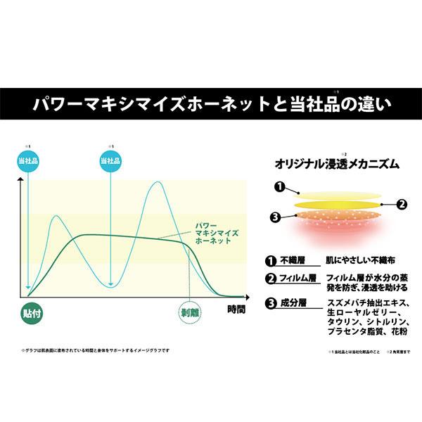 POWER maximize パワーマキシマイズ ホーネット MAXIMIZE HONET