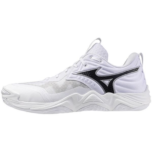 MIZUNO（ミズノ） ウェーブ モーメンタム エリート V1GA251251