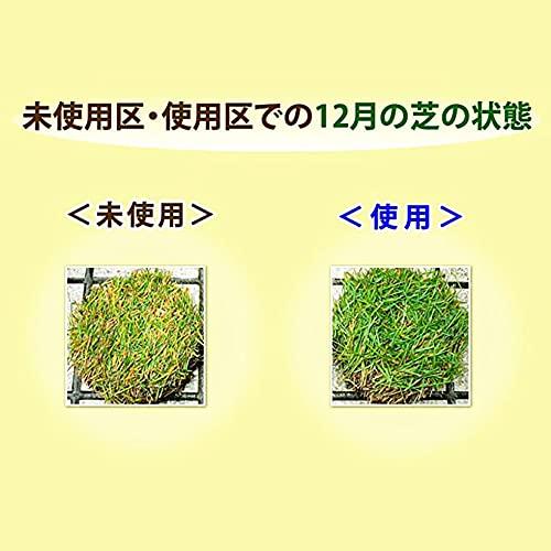 イデコンポガーデンEV 3kg 芝生 肥料 土壌改良剤 サッチ分解促進｜sterham0021｜03