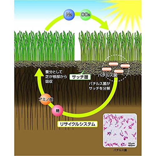 イデコンポガーデンEV 3kg 芝生 肥料 土壌改良剤 サッチ分解促進｜sterham0021｜05