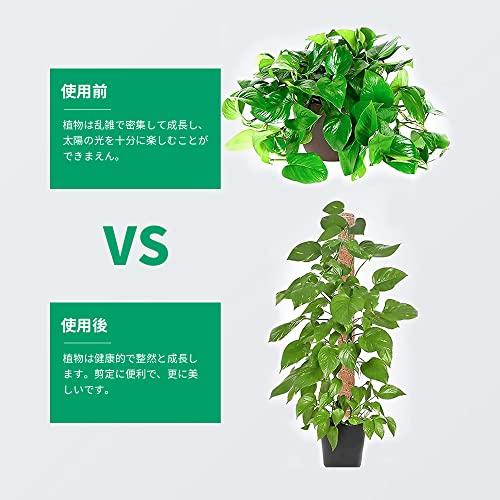 YOUSHY4個40cm園芸支柱 観葉植物モンステラ 支柱 ヘゴ支柱つる性植物 観葉植物 ココスティック支柱 植物サポートフラワースタンド ココナッツ支柱 花支え ガーデ｜sterham0021｜04