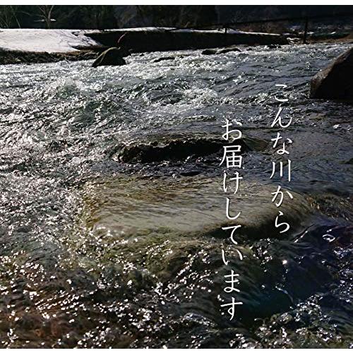 水槽用 底砂 国産 川玉砂利 10mm*20mm 洗って入れるだけでぴったり 30cm水槽で3センチ/45cm水槽で2センチにぴったり敷ける 淡水魚さんにぴったり合う お魚の色を｜sterham0021｜07