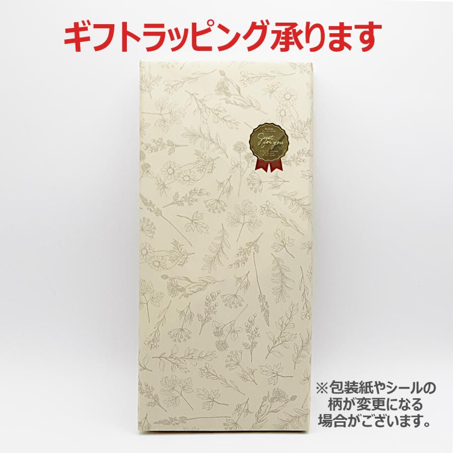 3M 聴診器 リットマン カーディオロジーIV ブラックエディション