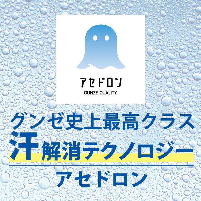 グンゼ  アセドロン 大きな汗とりパット付ＶネックＴシャツ MCA６２０ Ｍ Ｌ ＬＬ 紳士 肌着 メンズ インナー | GUNZE | 02