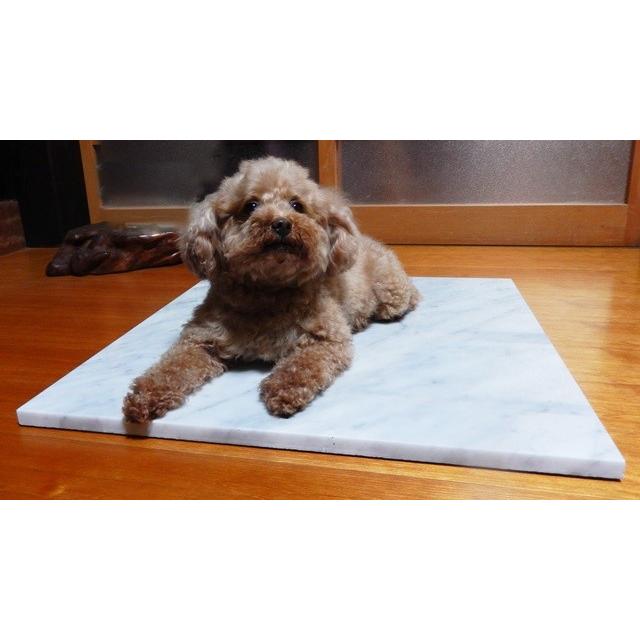 ひんやりペットマット 高級大理石 暑さ対策 Lサイズ 600×600×20mm