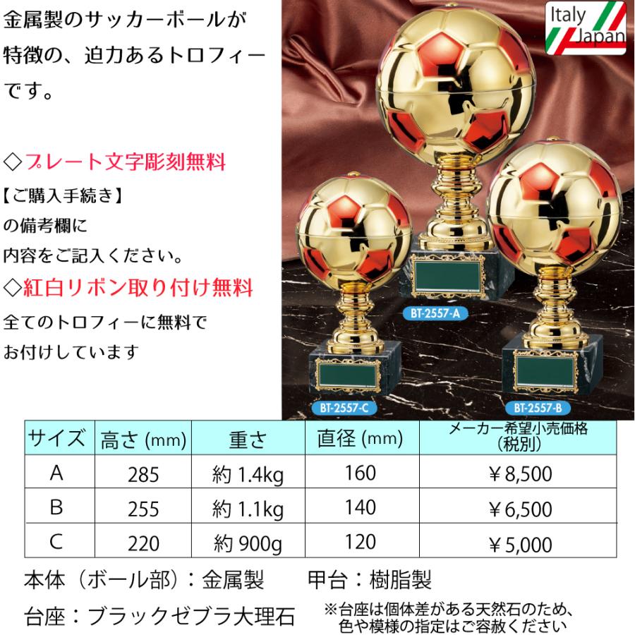 最大54 Offクーポン Bt 2557c トロフィー 高さcm ワールドイーグル サッカートロフィー 卒団 卒業 記念品 フットサル サッカー フットボール Materialworldblog Com